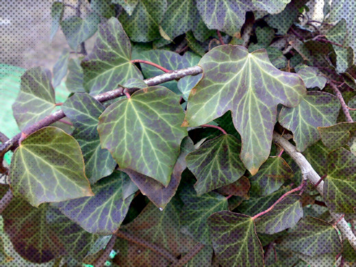 812820 (a): :2048x1536